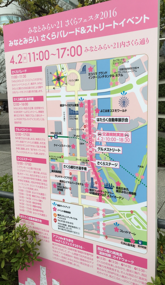 みなとみらいの桜を楽しむコースやイベント ランチは さくらフェスタ体験談 Toi Toi Toi